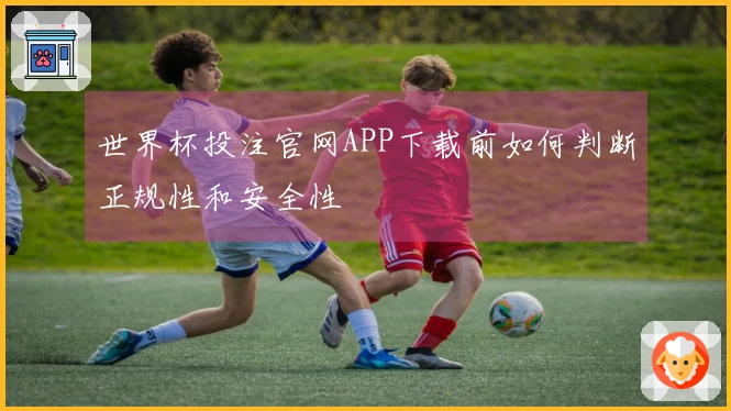 世界杯投注官网APP下载前如何判断正规性和安全性
