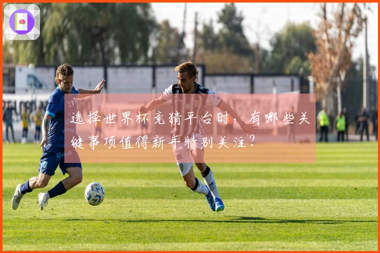 选择世界杯竞猜平台时，有哪些关键事项值得新手特别关注？