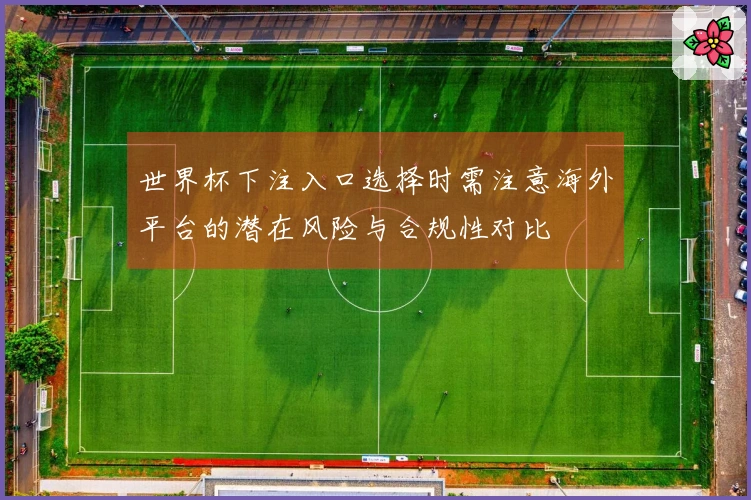 世界杯下注入口选择时需注意海外平台的潜在风险与合规性对比