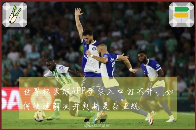 世界杯买球APP登录入口打不开，如何快速解决并判断是否正规