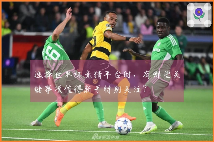 选择世界杯竞猜平台时，有哪些关键事项值得新手特别关注？