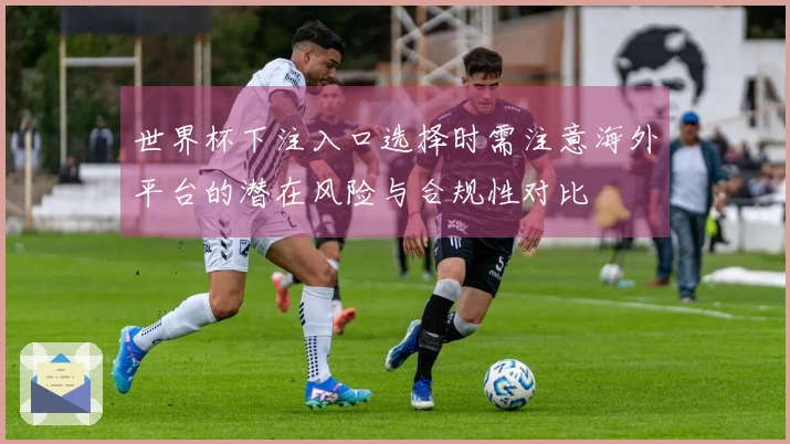 世界杯下注入口选择时需注意海外平台的潜在风险与合规性对比