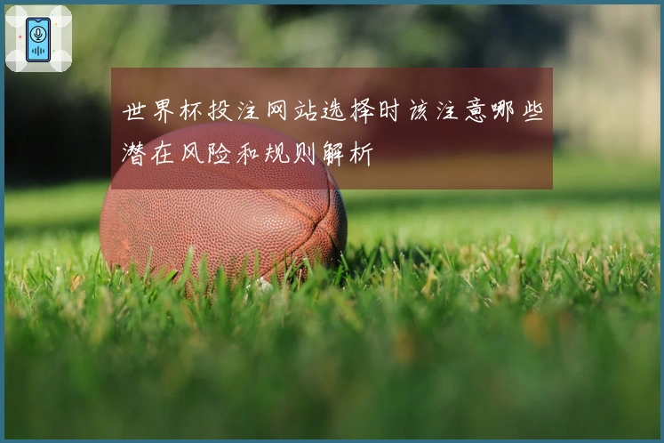 世界杯投注网站选择时该注意哪些潜在风险和规则解析