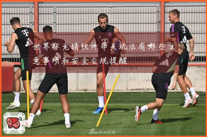 世界杯竞猜软件串关玩法有哪些注意事项和安全合规提醒
