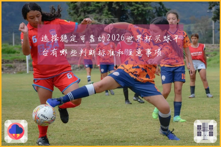 选择稳定可靠的2026世界杯买球平台有哪些判断标准和注意事项