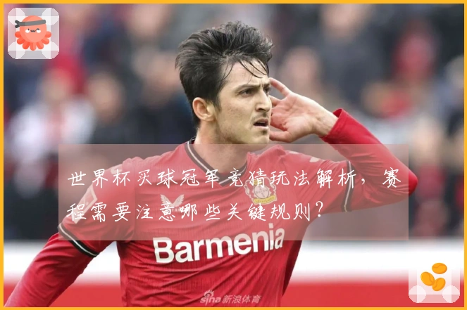 世界杯买球冠军竞猜玩法解析，赛程需要注意哪些关键规则？