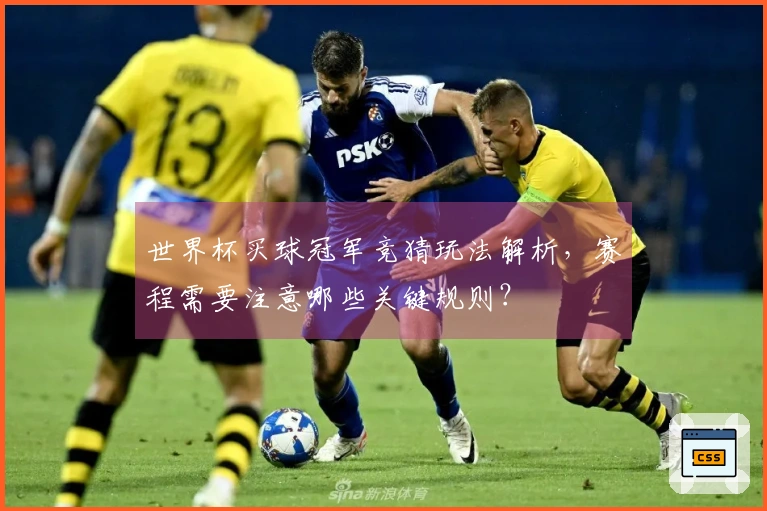 世界杯买球冠军竞猜玩法解析，赛程需要注意哪些关键规则？